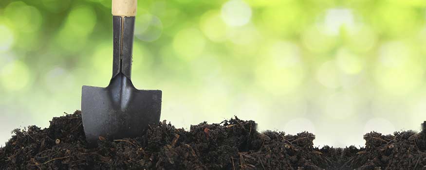 top dressing your lawn