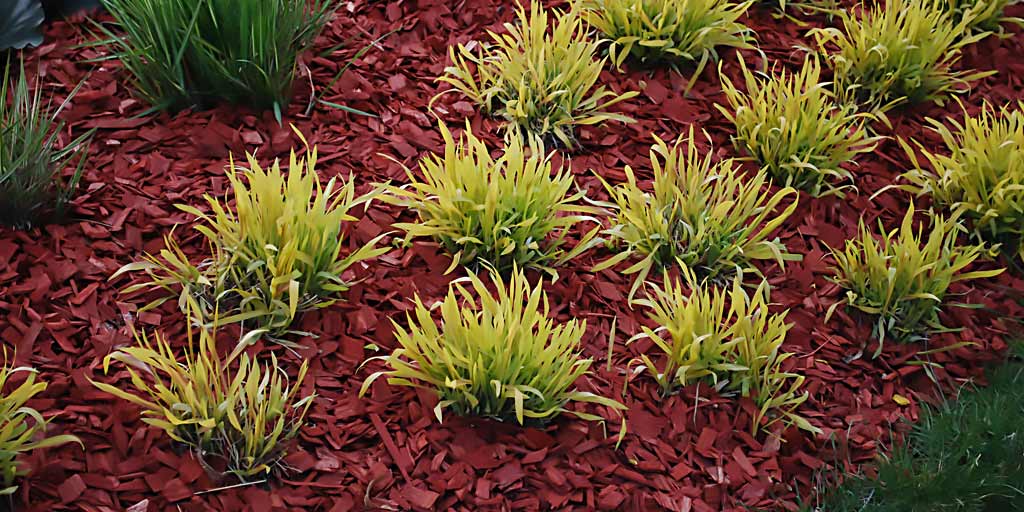 Solve Landscaping Drainage Problems, Landscaping Ideas For Drainage Problems
