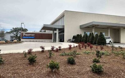 Elevate Your Business: Expert Commercial Landscaping for the Gulf Coast